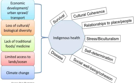 Figure   5:   Indigenous   Health   Vulnerabilites   