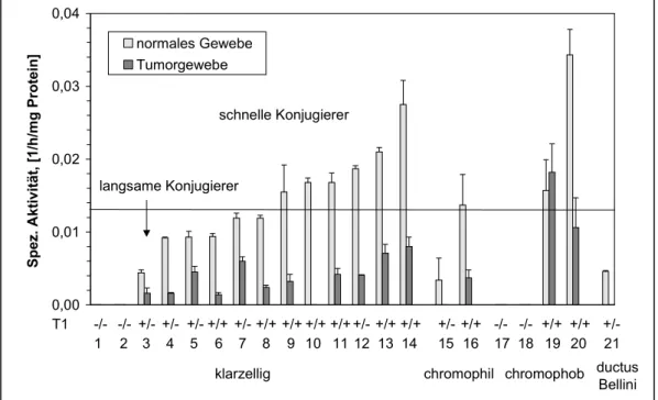 Abb. 9: Spezifische Aktivität der hGSTT1-1 gegenüber MC in normalem Gewebe und in Tumorgewebe in Abhängigkeit der Tumorcytomorphologie und des  GSTT1-1-Genotyps