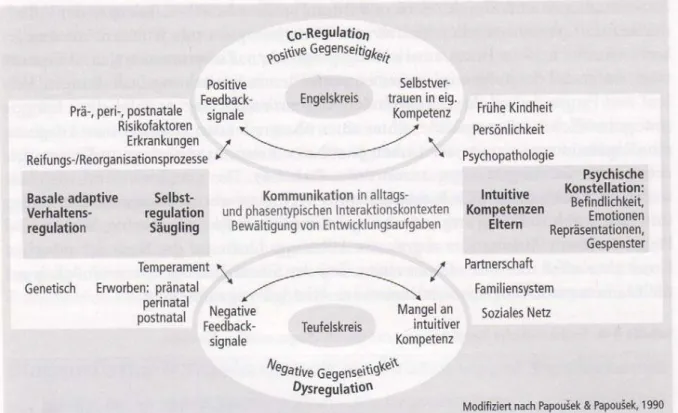 Abbildung  2  Entwicklungsdynamisches  Modell  frühkindlicher  Regulations-  und  Beziehungsstörungen  (Modifiziert nach Papoušek &amp; Papoušek, 1990)  