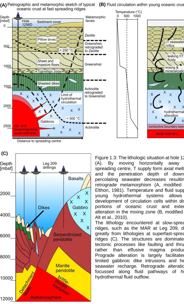 Figure 1.3: The lithologic situation at hole 1256D  (A).  By  moving  horizontally  away  from  spreading centre, T supply form axial melt lens  and  the  penetration  depth  of  downward  percolating  seawater  decreases  resulting  in  retrograde  metamo