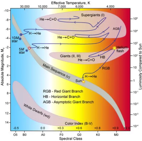 Figure 1.1. Hertzsprung-Russell diagram showing the post-main sequence evolutionary tracks of stars with  10 M ☉ , 5 M ☉  and 1 M ☉ 