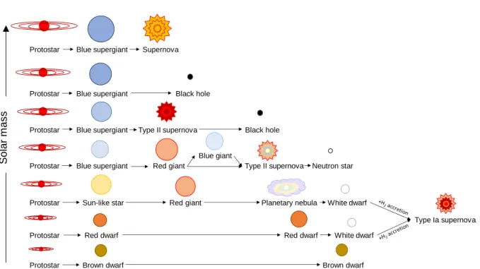 Figure  1.2.  Evolution  of  a  star  depending  on  its  solar  mass.  Graphic  adapted  and  redrawn  after  NASA  Jet  Propulsion Laboratory (n.d.)