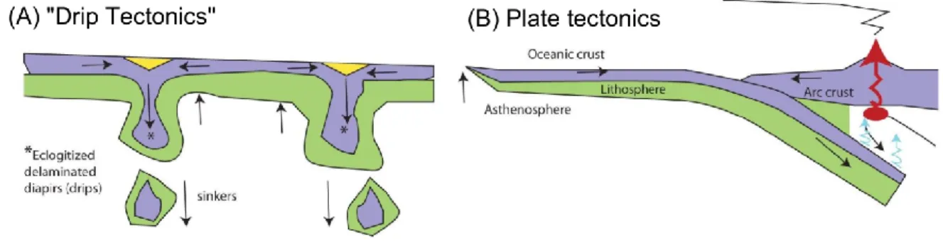Figure  1-2:  Cartoon  illustrating  the  two  main  crustal  recycling  processes  postulated  for  the  Archean  (after  Stern  2013);  (A)  delamination  of  the  lower  part  of  a  thickened  mafic  crust  (“Drip  Tectonics”)  and  (B)  subduction of 