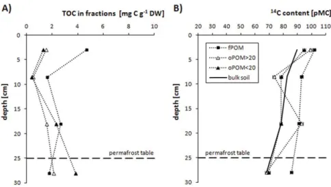 Fig. 2. Distribution of (A) organic carbon content (TOC) in density fractions related to fraction mass and (B) 14 C content (one-sigma measurement uncertainties are indicated by bars on each point) over depth.