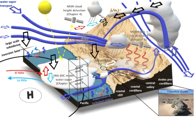 Figure 3.1: Schematic overview of atmospheric water cycle elements for the Atacama Desert which are addressed in this thesis