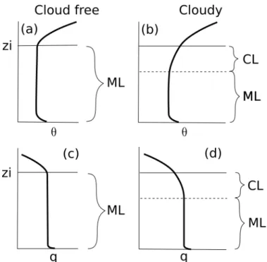 Figure 2.1: Idealized proles for a cloud free (a,c) and cloudy (b,d) boundary layer. Shown are the proles for potential temperature ( θ ) and humidity (q).