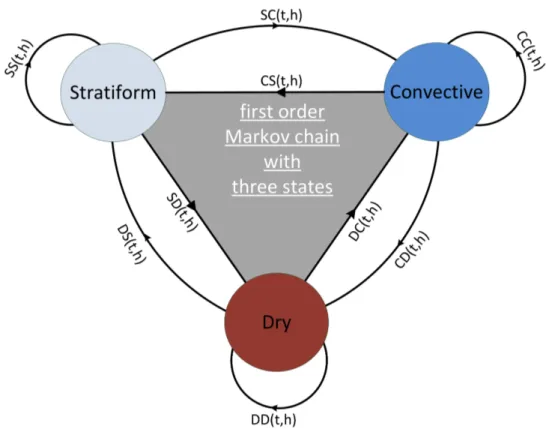 Figure 3.2.: Schematic illustration of the used rst order Markov chain with the three states stratiform (S, light blue), convective (C, blue) and dry (D, red)