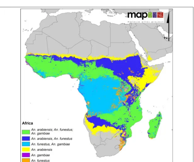 Figure 2.3: The distribution of three most dominant malaria vectors in Africa. Source: Sinka et al