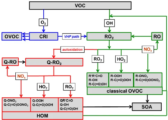 Figure 1.4 Pathways of VOC oxidation. Ozonolysis (blue arrows) also leads to Criegee reactive intermediates  (CRI) which on several pathways can form OVOC, similar to those from OH