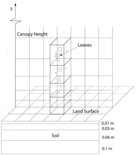 Figure 2.1: LES-ALM configuration. The vegetation canopy is vertically re- re-solved in multiple layers and thin soil layers are used to allow the land surface to respond on the large-eddy time scale