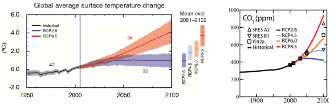 Fig. 1: Projected temperature (left) and CO 2  (right) increase for each RCP Scenario  (Stocker et al