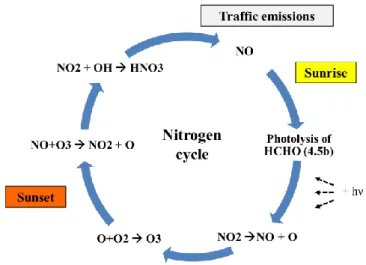 Fig. 9: Diurnal nitrogen cycle producing and removing ozone in urban areas (Summary of eq