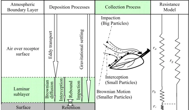 Figure 2-11: Dust deposition steps and mechanisms. Dust is firstly transferred downwards by eddy  diffusion and gravitational settling from free air to the layer adjacent to surface