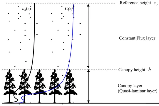 Figure 2-14: Schematic illustration of a two-layer model for dust deposition on canopy