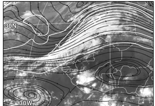 Figure 1.1: Meteosat IR satellite image at 00 UTC 1 April 2002 with superimposed isotachs at the 345 K isentropic level in white (m s − 1) and streamlines in black from Knippertz and Martin (2005) their Fig