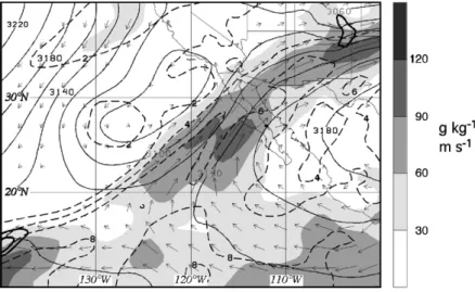 Fig. 10. Example of a moisture conveyor belt over the eastern Pacific at 12 UTC 11 November 2003