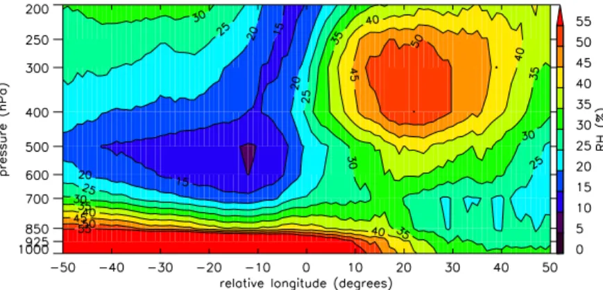 Figure 1.9: Vertical cross sections of composite RH for intrusions in the North Atlantic (80 ◦ W – 0 ◦ ).