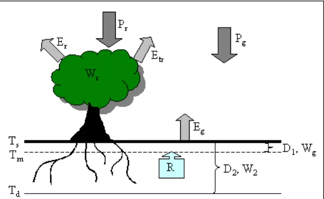 Abbildung 3.2: Komponenten des Bodensche- Bodensche-mas in FOOT3DK. W g , W 2 , W r  sind  Wasser-gehalte der obersten Bodenschicht, der  gesam-ten Bodenschicht und der Vegetationsschicht