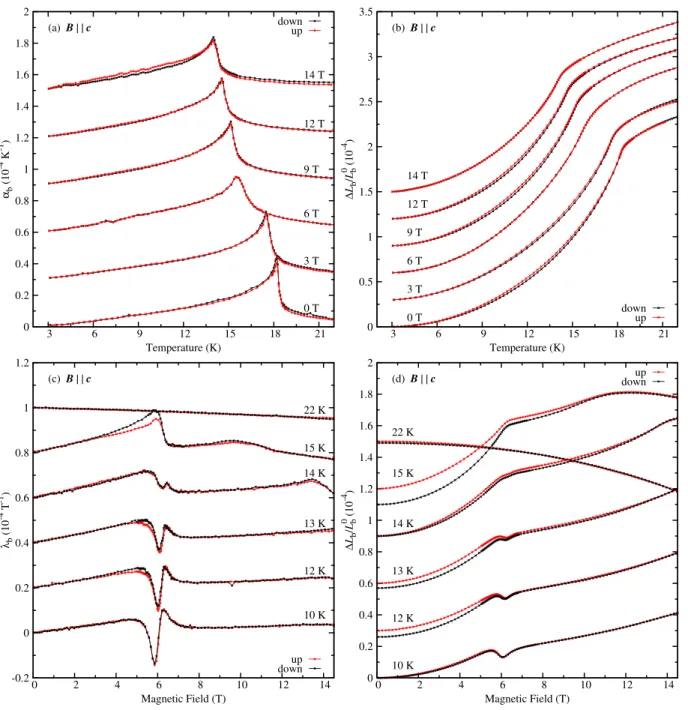 Figure 4.16: Transversal thermal expansion of LiFeSi 2 O 6 along b for a magnetic field applied parallel to c