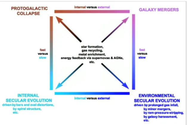 Figure 2.5: The process of galaxy evolution illustrated as fast vs slow and internal vs external