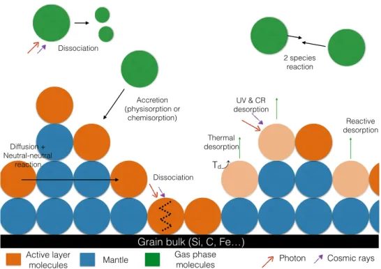 Figure 1.7: Scheme presenting the different reactions occurring in the ISM in the gas phase and on the grain surface.