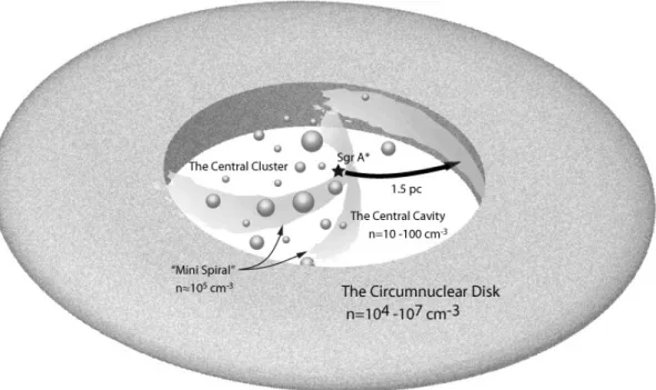 Figure 1.6: Schematic view of the Galactic Center. Relative positions of Sgr A* and the central cluster within the central cavity are shown within the circum nuclear disk
