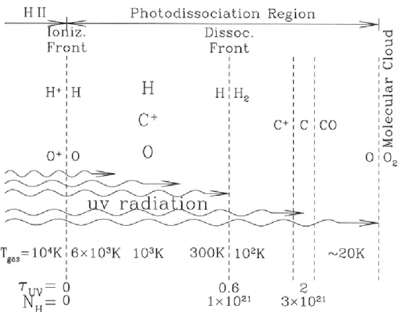 Figure 2.1: A schematic figure about the structure of a PDR (Draine, 2011).