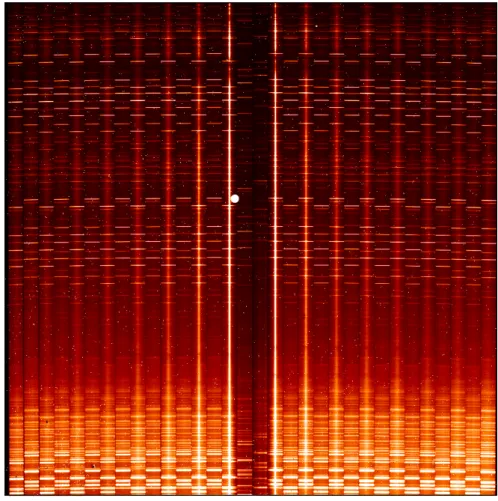 Figure 3.1: Raw SINFONI detector image from the observations. Long vertical lines are the observed object’s center