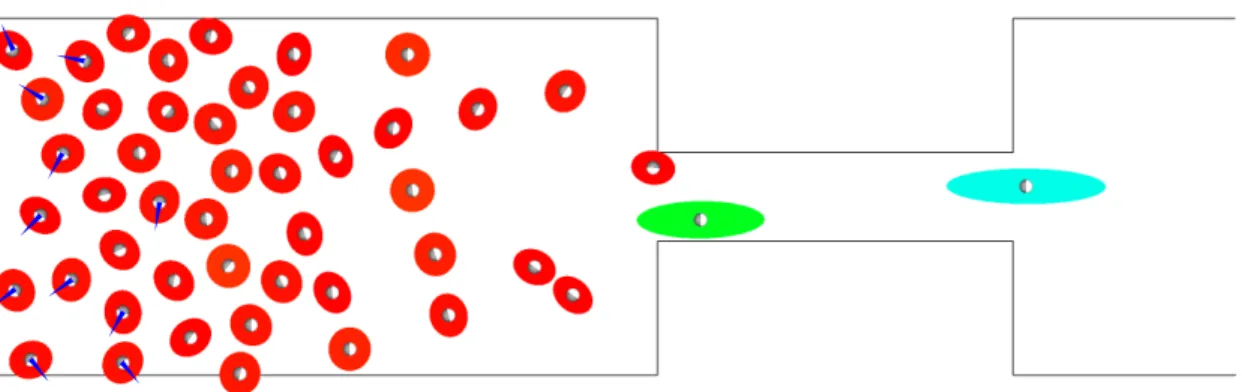 Figure 2.4: Evacuation from a bottleneck. The simulation screenshot highlights the problem of oscillations