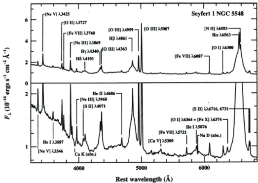 Figure 2.9: The optical spectrum of the Seyfert 1 galaxy NGC 5548. The prominent broad and narrow emission lines are labeled, as are strong absorption features of the host galaxy spectrum