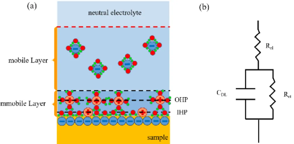 Figure  2.12:  Electrode-electrolyte  interface  and  equivalent  electrical  circuits