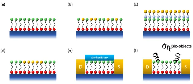 Figure 2-2: Different SAM constellations for different application fields, (a)  non-local SAM, (b) mixed SAM, (c) multilayer  SAM, (d) nanostructured SAM formations, (e) SAM used as dielectric/semiconductor interface in a FET and (f) SAM used as  biosensor