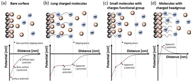 Figure 2-9: Surface charges and potential of different surfaces for the cases (a) no molecules, (b) large negatively charged  molecules, (c) small molecules with negatively charged functional group, and (d) molecules with positively charged headgroups  (ac