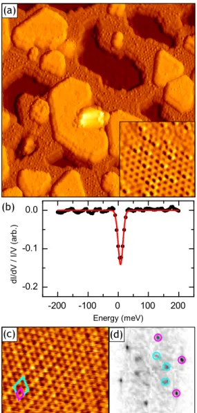 Figure 4: Li doped TaS 2 : (a) Large scale STM topograph showing the entire sample surface to be covered by Li adatoms