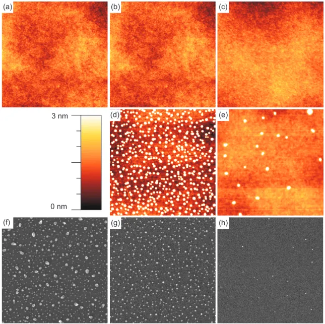 Figure 4.1.: Microscopic images after Ag sputter co-deposition: (a)–(c) in-situ STM to- to-pographs, (a) x = 0.8 mm, (b) x = 1.8 mm, (c) x = 2.9 mm; (d)–(e) ex-situ AFM images, (d) x = 2 mm, (e) x = 3.5 mm; (f)–(h) ex-situ SEM micrographs, (f) x = 0.8 mm, 