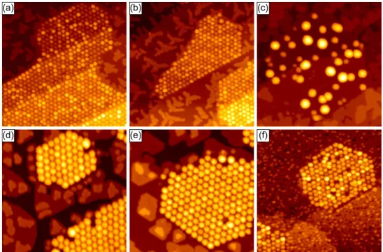 Figure 2.5: STM topographs of Gr akes covered with dierent metal clusters grown at room temperature except for (f)