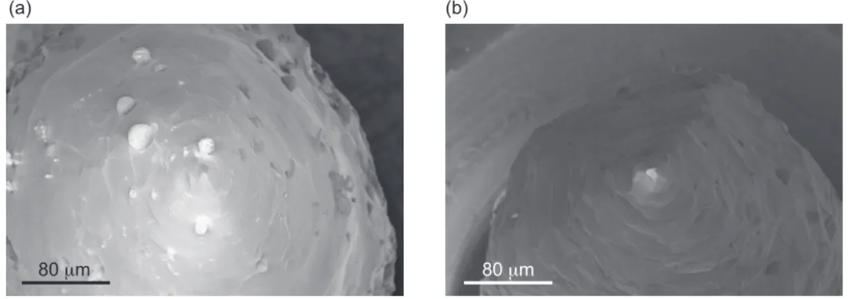 Figure IV.4.: SEM images of two different Cr-tips after the chemical wet etching in 5 mol NaOH.