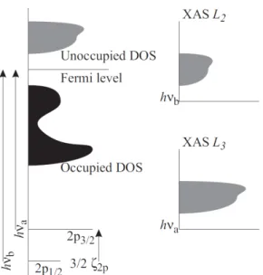 Fig. 2.5: Interpretation of x-ray absorption spectra within an one-electron picture: