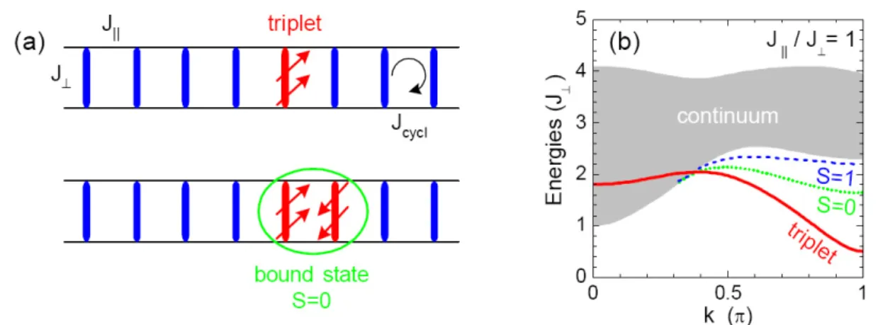 Figure 2.2: (a) Sketch of a two-leg S=1/2 ladder showing the elementary excitations.