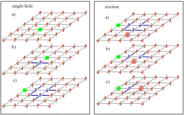 Figure 2.9: Left panel: Simplied picture of the movement of a single hole (green dot) in a 2D AF Mott-Hubbard insulator