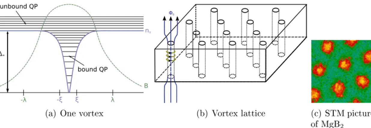 Figure 4.3: Illustration of magnetic ux penetrating the bulk of a type-II super- super-conductor
