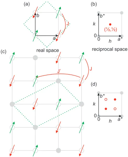 Figure 2.10.: Modulation of the antiferromagnetic spin order in a site-centered stripe arrangement on an ideal two-dimensional square lattice