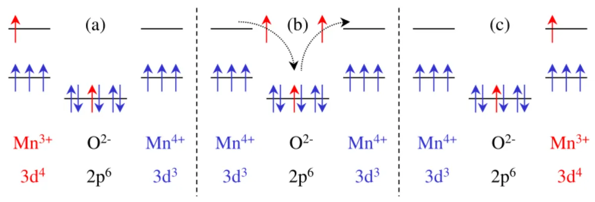 Abbildung 3.2: Doppelaustauschmodell am Beispiel der Perowskitverbindung La 1−x Sr x MnO 3 : Anfangs- (a) und Endzustand (c) sind energetisch entartet; vgl