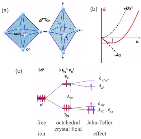 Figure 2.5: Tetragonal deformation of O 6 -octahedra stabilizing one particular orbital:
