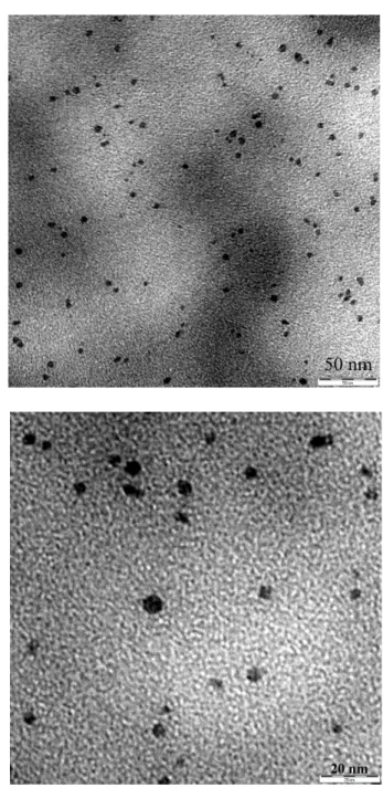 Abbildung 6.1: Exemplarishe Aufnahmen mittels des T ransmissionselektronen-