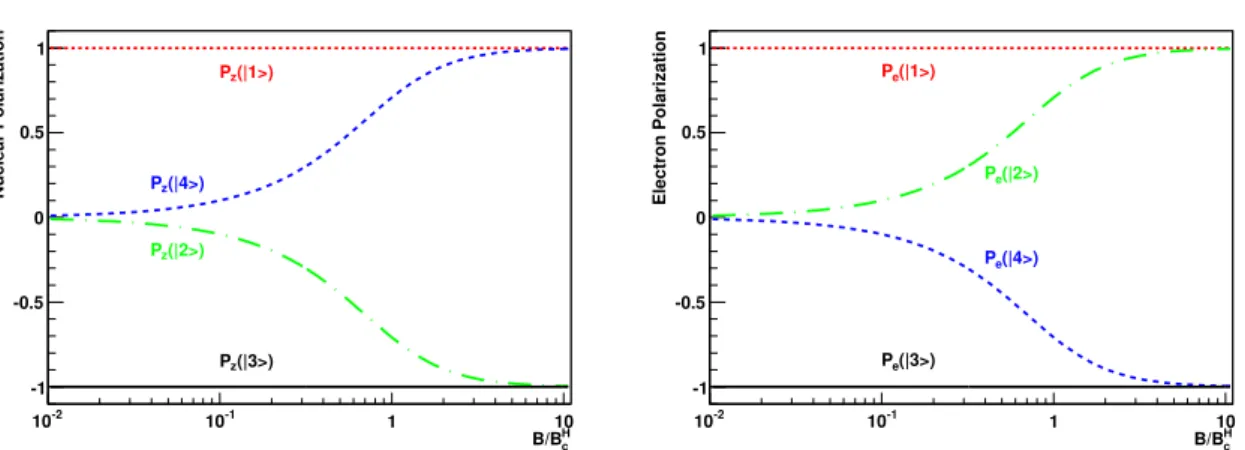 Fig. 3.12.: Nuclear (left) and electron (right) polarization of the hyperfine states of hydrogen versus the external magnetic field normalized to the critical field B c H = 50.7 mT.