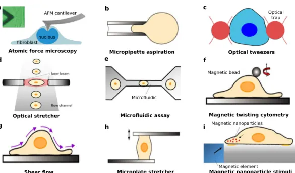 Figure 1.5: Schematic different methods for measuring forces on a single cell.