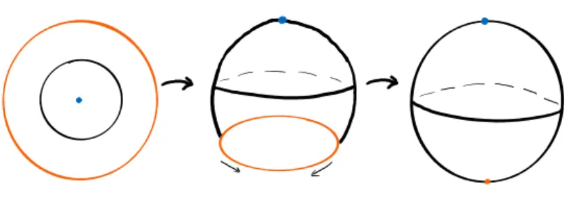 Figure 2.1: Sketch of the idea behind the homeomorphism between S d and D d /∂D d . The blue point and the orange circle are mapped to the north and south pole of the sphere, respectively.