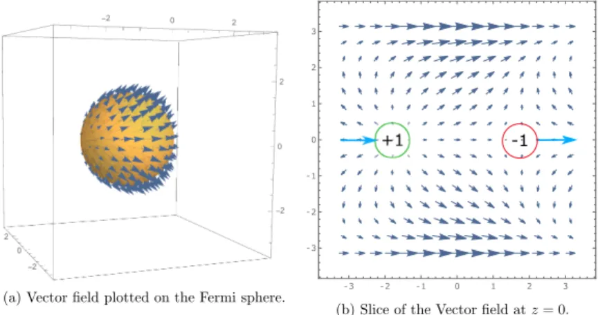 Figure 4.5: (a) Plot of an exemplary vector field on the Fermi sphere. A Weyl point with Weyl charge +1 can be seen on the left hemisphere