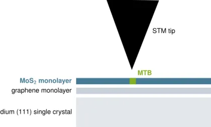 Fig. 3.2: Schematic profile of MoS 2 monolayer on a graphene/Iridium(111) substrate with mirror-twin boundary During the growth of the MoS 2 monolayer  mirror-twin boundaries (MTBs) emerge (see main text)